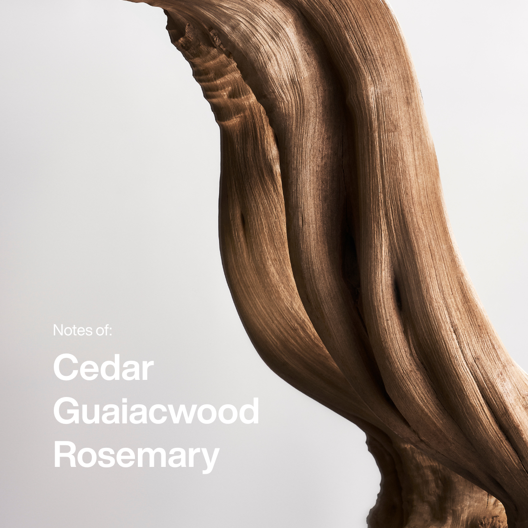 Cedarwood Eau de Toilette Spray 50ml