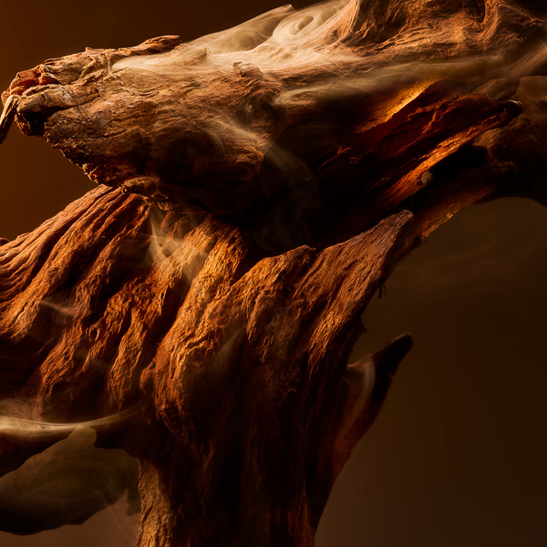 OUD NOIR